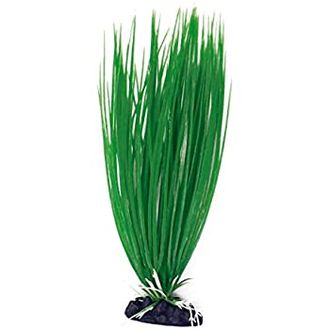 AMTRA ACORUS plastmasinis augalas didelis 23cm 1vnt, A8011935