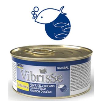VIBRISSE kons. kačiukam su žuvimi 70g 12vnt (24), C1018751