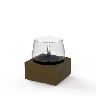 POPPY 14 stalo židinys, naudojamas Tenderfuel skystis