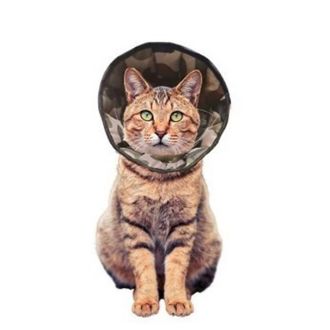 GF Pooperacinė apykaklė moro L 30-36cm, WET/KT/3(L)(M)