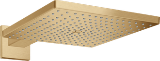 Stacionari dušo galva iš sienos HANSGROHE Raindance E 300 1jet, Brushed Bronze, 26238140