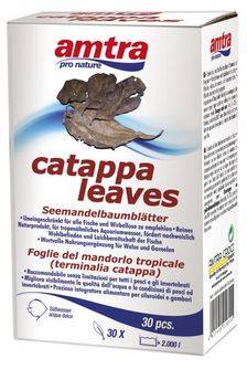AMTRA CATAPPA lapai 30vnt, A3050050