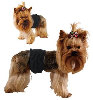 GF Kelnaitės šunims 'Pampas' M 38-50cm, PA1/3(M)