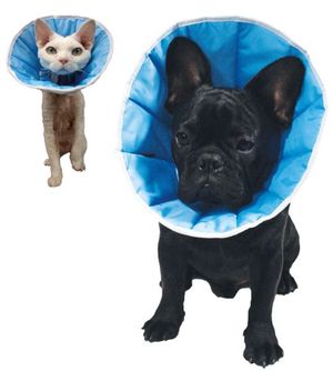 GF Pooperacinė apykaklė XXXL 50-60cm, WET/KT/6(XXXL)