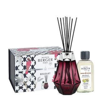 Namų kvapo lempa Maison Berger + pildymas 250 ml