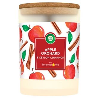 Kvapioji žvakė Air Wick Essential Oils Apple Orchard &amp; Cinnamon