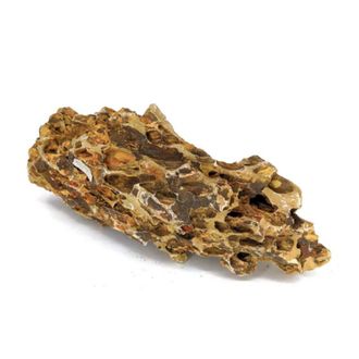 PRODAC Alveolar akmuo kg (10kg), DRA-1-017