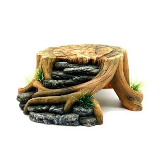 REP NOVA terariumo dekoracija kelmas 23x22x9cm, RN983