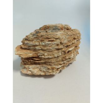 PRODAC Stratified akmuo kg (10kg), DRA-1-009
