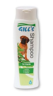GILL'S GEEN TEA šampūnas (su žaliosios arbatos ekstraktu) 200ml (6), C3052997