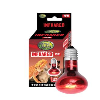 REP NOVA Infrared terariumo lempa 75W, INFRARED-75W