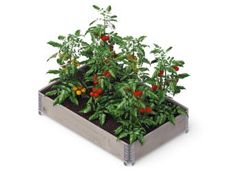 Pakelta lysvė Upyard GardenBox Professional 120x80x19,5 cm, pilka, 4752196002783
