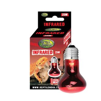 REP NOVA Infrared terariumo lempa 25W, INFRARED-25W