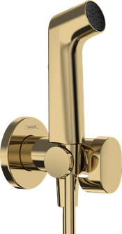 Bidė dušelis Hansgrohe aukso sp. 29232990