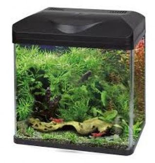 AMTRA LAGUNA LED 40 AKVARIUMAS 32l, A2001618