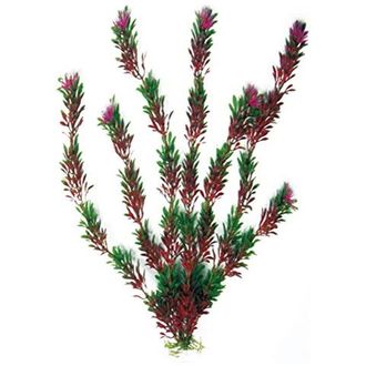 AMTRA FLORA BICOLOUR augalas mažas 13cm 1vnt, A8011182
